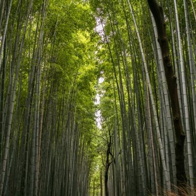村民与英雄游戏下载